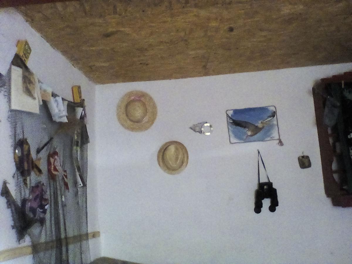 מלון ספנטו גאורגה Casa Delta 106 מראה חיצוני תמונה